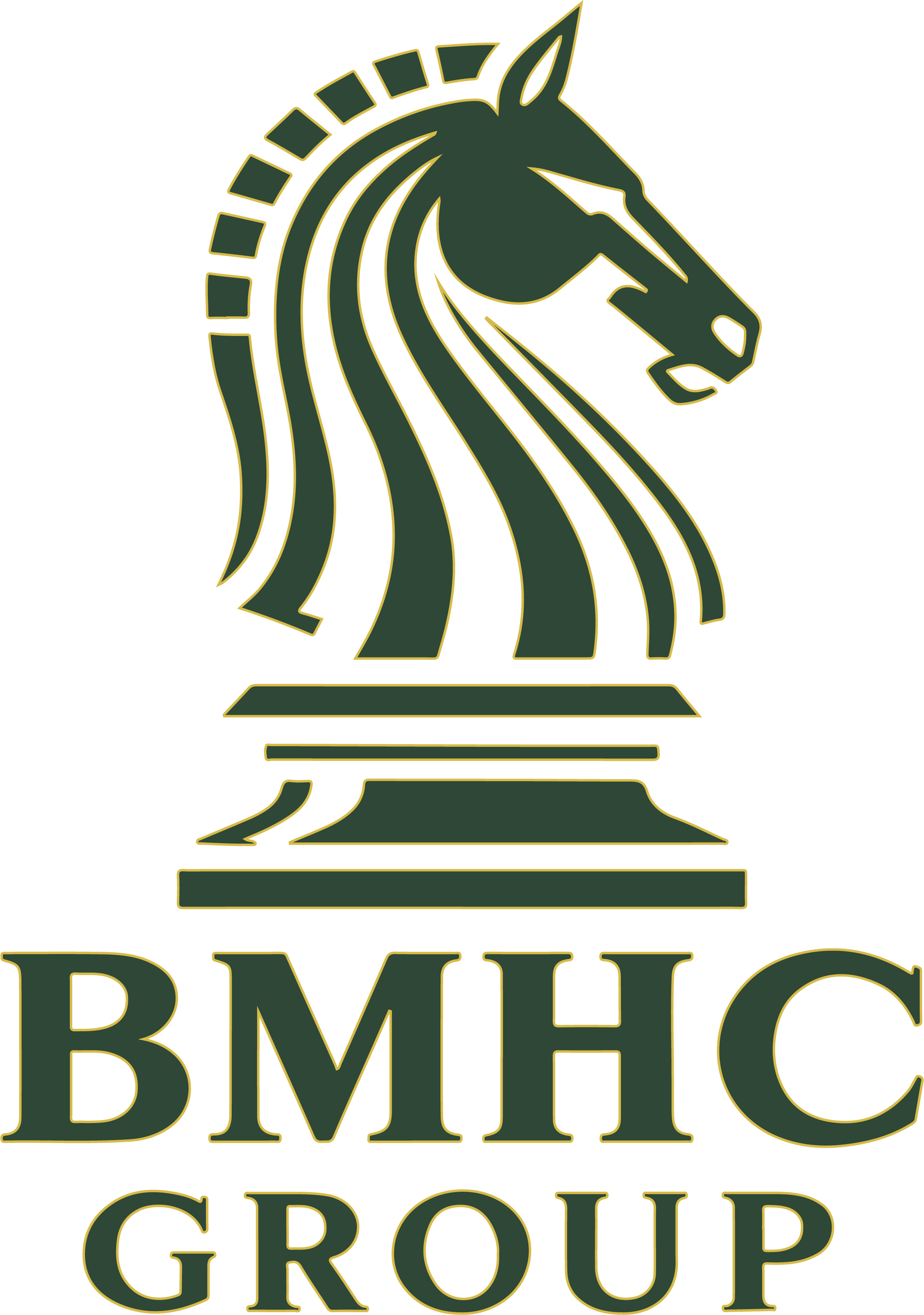 BMHC Group Knight Logo